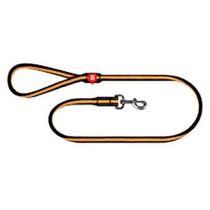 Shock Absorbing Leash