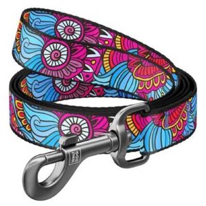 Summer Leash (Medium)