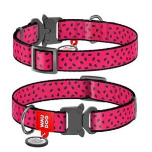 Watermelon Collar (Small)