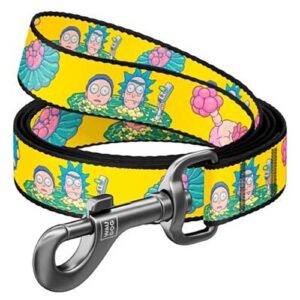 Rick and Morty 1 Lead (Small)