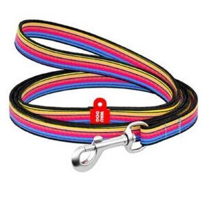 Line 1 Leash (Medium)