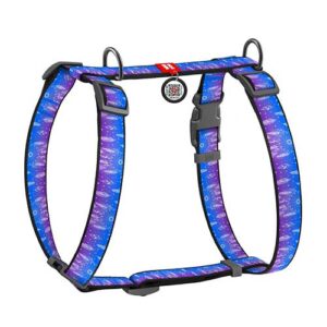 Dreamcatcher Harness (Small)