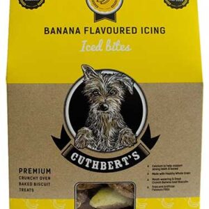 Iced Bites - Banana