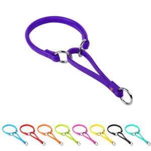 Martingale Collar (X-Small) - Purple