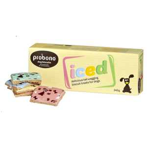 Iced Biscuits