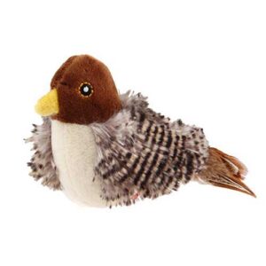 Tune Chaser Bird
