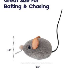Squeak Squeak Mouse