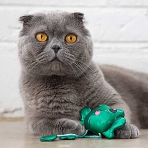 Toss n Dangle Frog